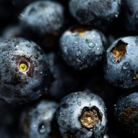 Bilberry Extract for Eye Health